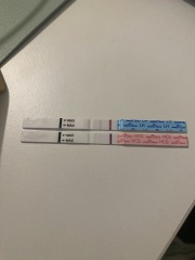 Two week wait ladies, you there?