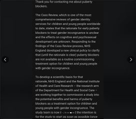 Meg Hillier Mp replies to trans concerns on puberty blockers - good news