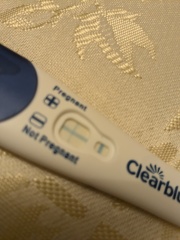 Clear blue test. Evap line or positive