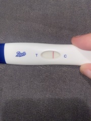 Clear blue test. Evap line or positive