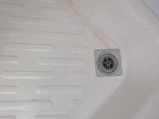 Is clearing out the shower hair trap the worst household task? Discuss.