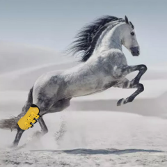 Tendon boots. Photoshop fail.