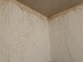 Can I paint over messy plaster splatter?