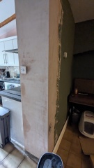 Persistent damp patches on newly plastered wall