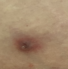 Please help identify what this is!