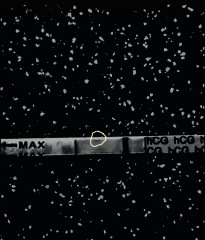 Anyone about to go into an ovulation week?