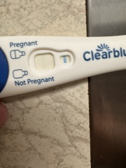 Does this look like a positive or an evap line?