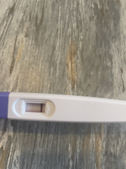 IVF / ICSI August