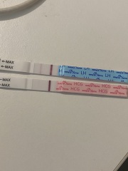 Two week wait ladies, you there?