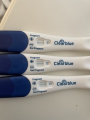 Pregnant or not ?