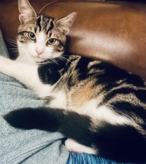 What mix do you think he could be?!