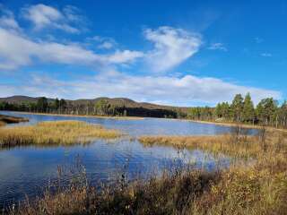 The Autumnal Christmas Chronicles Preamble thread