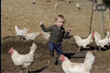 Royal Style: monkey nuts or emeralds? The discussion continues...