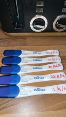 Clear blue test. Evap line or positive