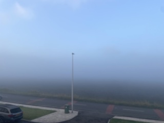 Spring has sprung...let's Countdown to Christmas 2024 (Thread 2)