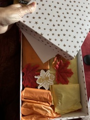 The Autumnal Christmas Chronicles Preamble thread