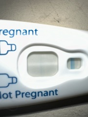 Preg test