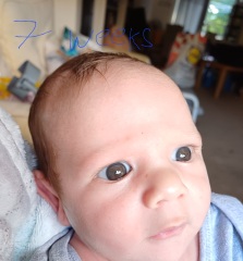 What is this baby eye colour?