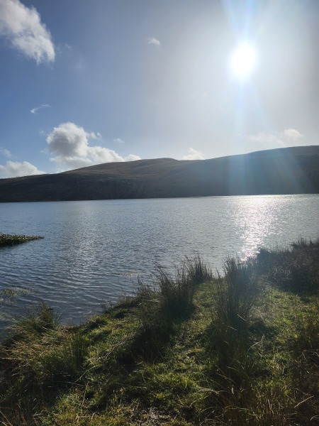 Mounjaro August Starters 6