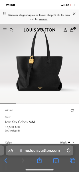 Best luxury work bag?