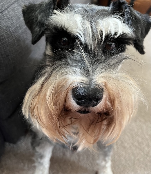 Thread 10 Starmer: First Female Chancellor delivers the Budget