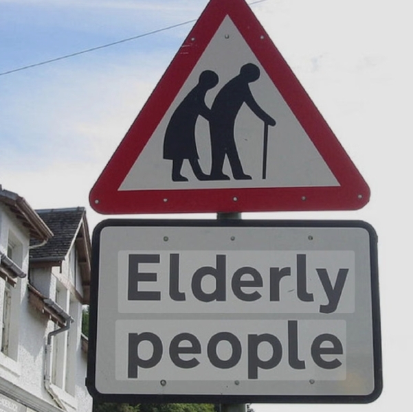 Bluestockings & Orange Wellies: Welcome to the Degu Station!