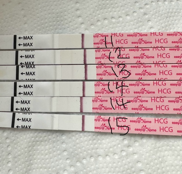 TTC after chemical pregnancy 2