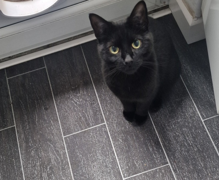 Thread 10 Starmer: First Female Chancellor delivers the Budget