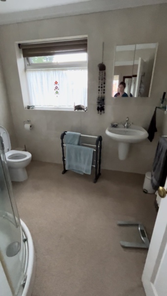 Please help - bathroom ideas