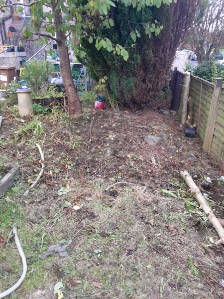 What have you done in the garden today? Part 6