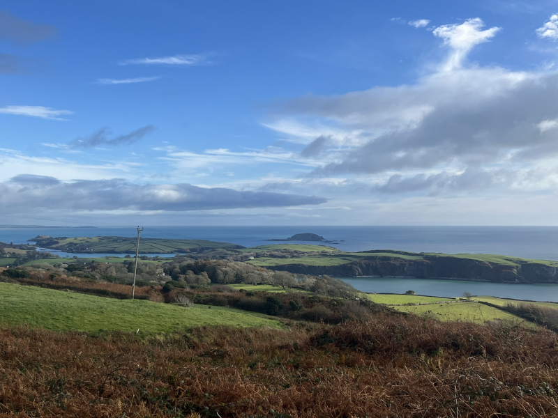 The Nigel Slater Christmas Chronicles Readalong 2024