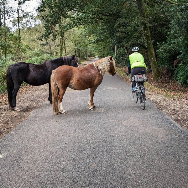 The Great Cancer Recovery part 3