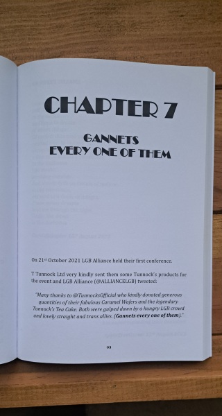 Bluestockings & Orange Wellies: Welcome to the Degu Station!