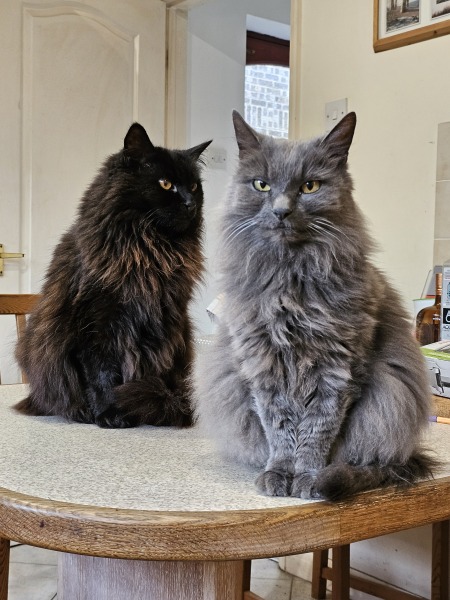 Thread 9 Starmer : Return to Westminster