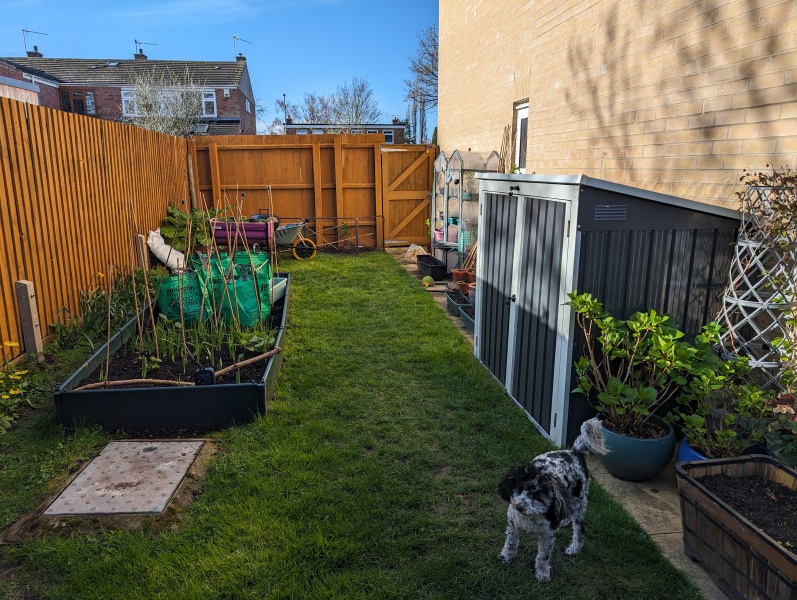 Please help me layout my garden!