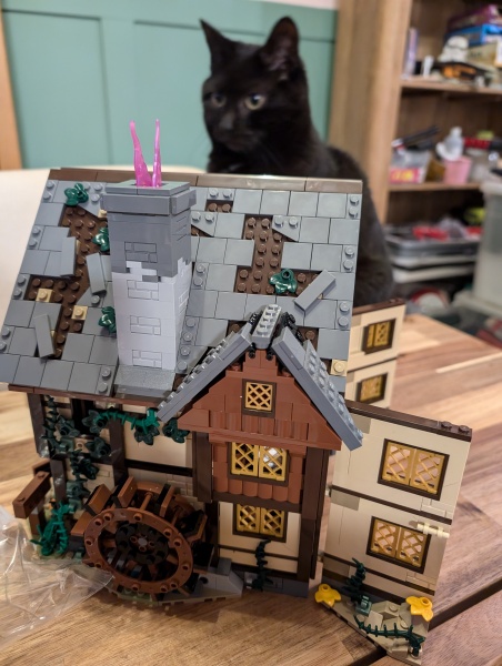 To show me your Lego collection?