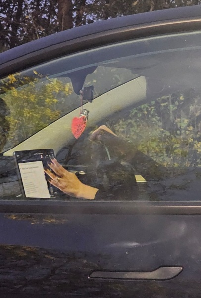 To ask how it is safe for a driver to be reading a book on their tesla screen whilst driving? (Photo)