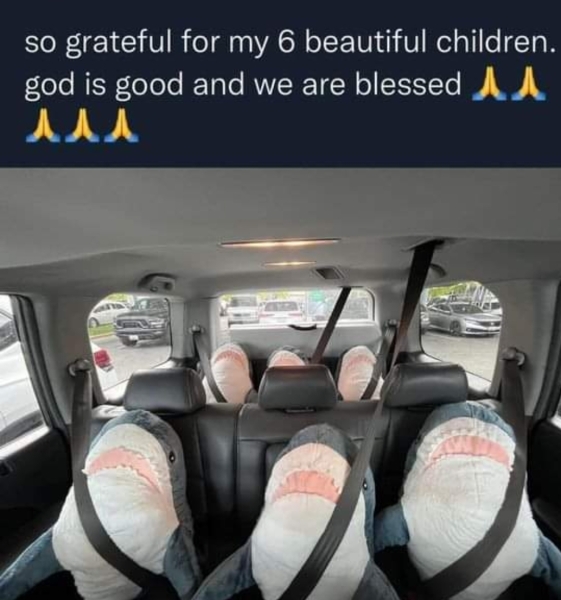 To think JellyCats cost a ridiculous amount..