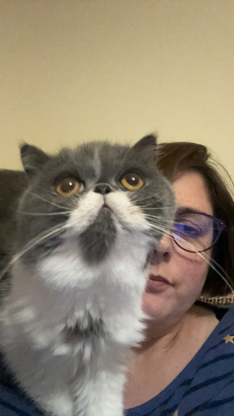 Magnificent Moustaches