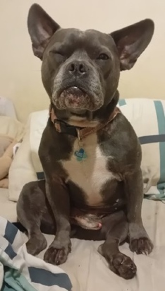 The Continuing Support Thread for Anyone Trying to Lead an Alcohol-Free Life Autumn 2024