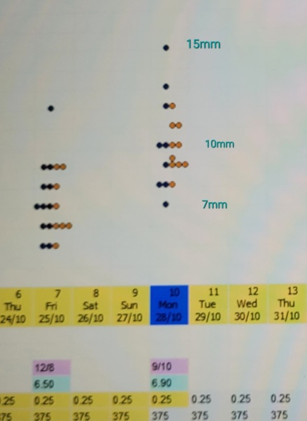 IVF October 2024