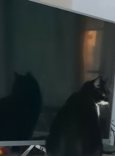 Thread 10 Starmer: First Female Chancellor delivers the Budget