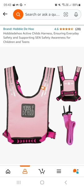 Regular Reins for Older Kid?