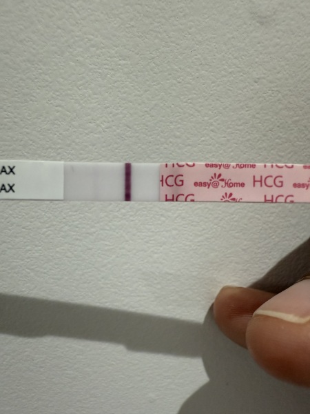 IVF October 2024