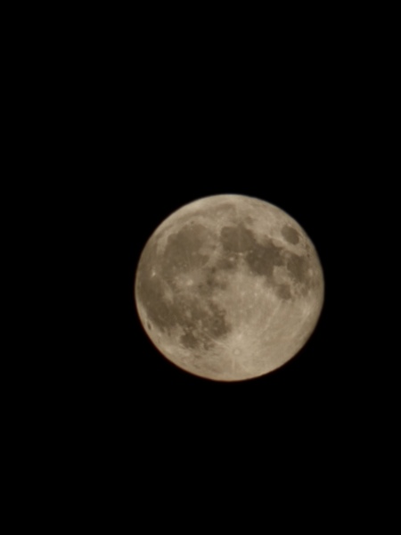 Hunter Supermoon Tonight