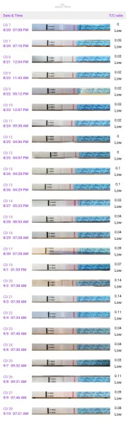 Ovulation After Coming Off Pill