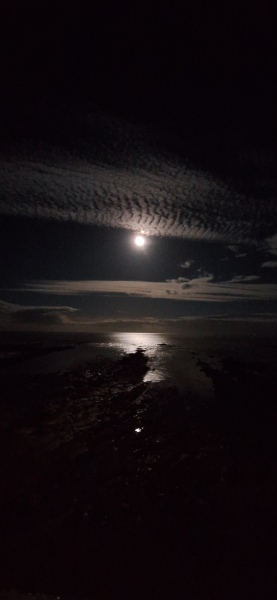 The Autumnal Christmas Chronicles Preamble - Thread 2 further ramblings