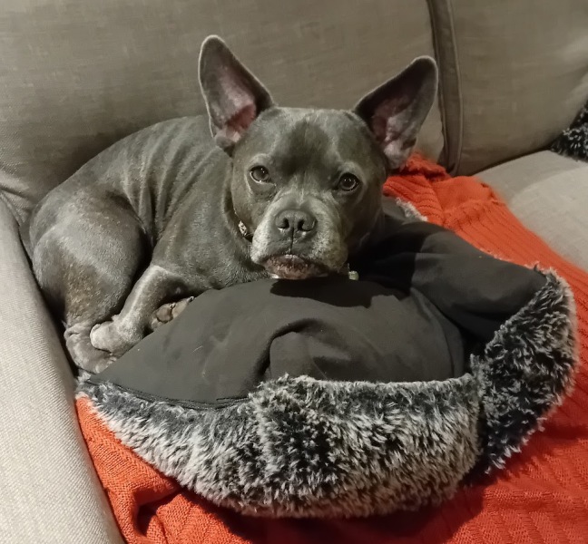 The Continuing Support Thread for Anyone Trying to Lead an Alcohol-Free Life Autumn 2024