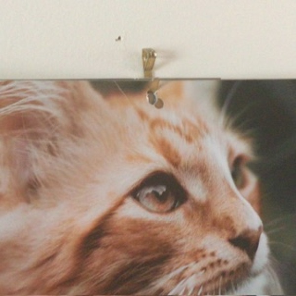 Calendars - how do you hang yours?