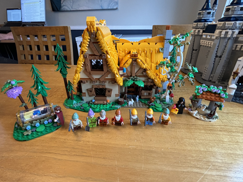 To show me your Lego collection?